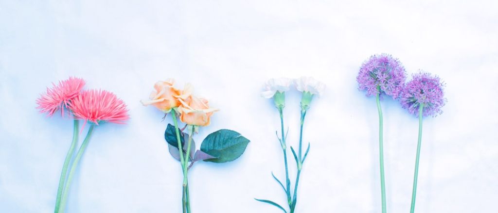 weekly blooms 15 flores