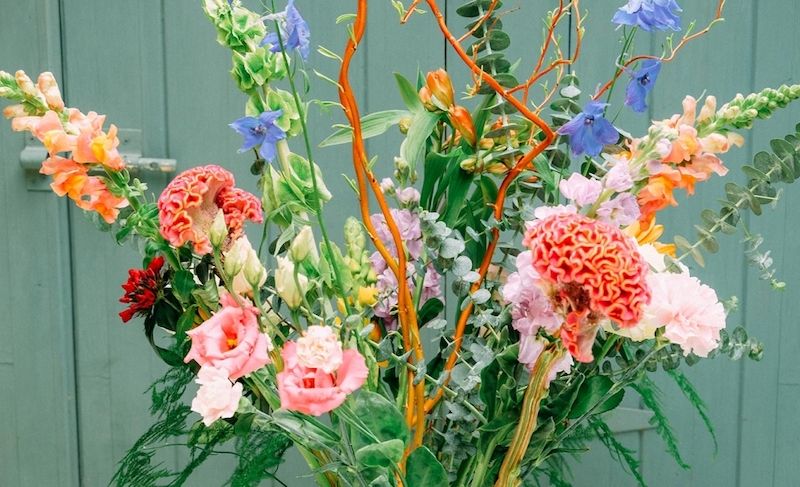 weekly blooms 17