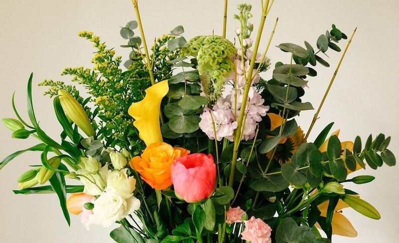 weekly blooms 18