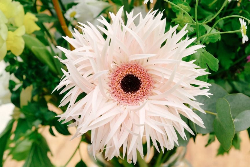 weekly blooms 19 detalle