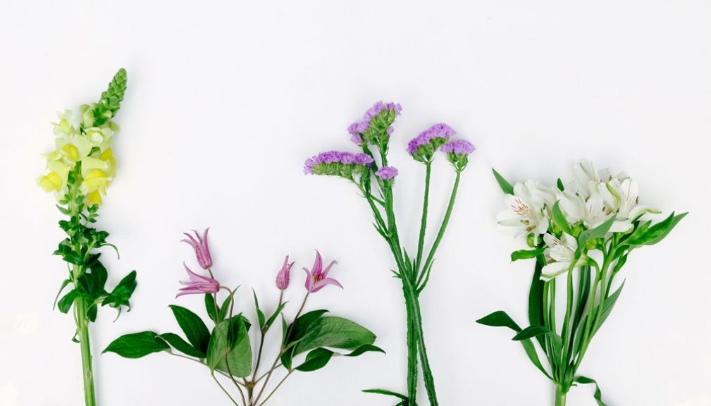 weekly blooms 19 flores