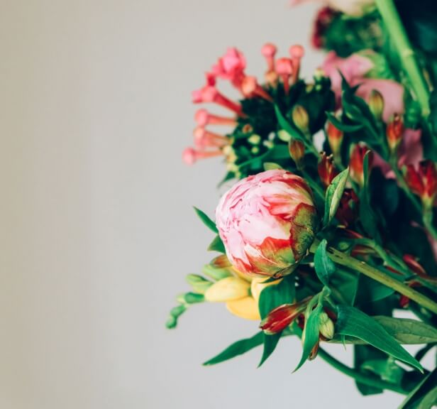 weekly blooms 20 detalles