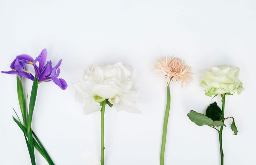 weekly blooms 21 flores