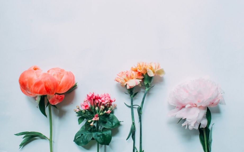 weekly blooms 22 flores
