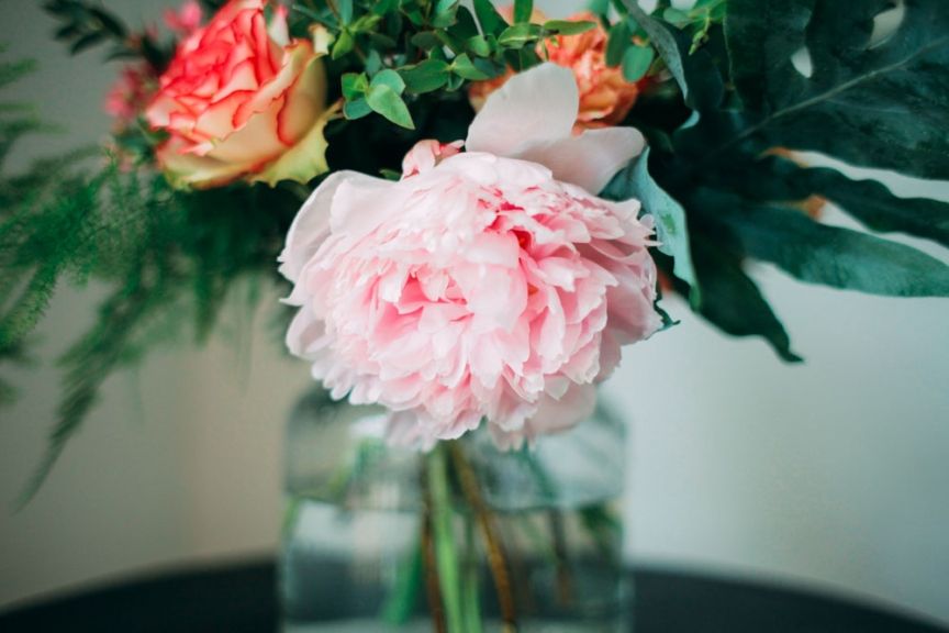 weekly blooms 22 peonia