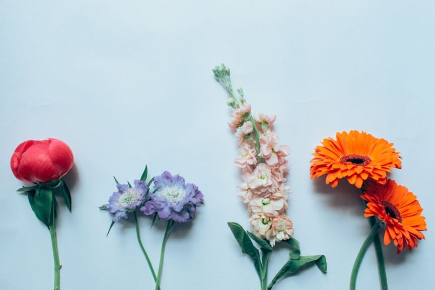 weekly blooms 24 flores
