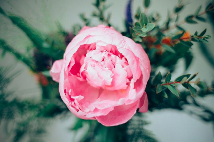 weekly blooms 25 detalle