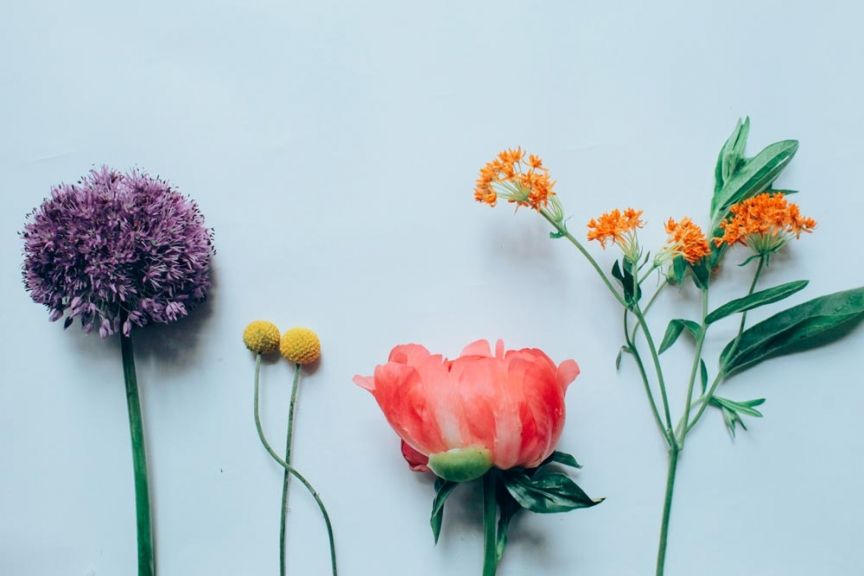 weekly blooms 25 flores