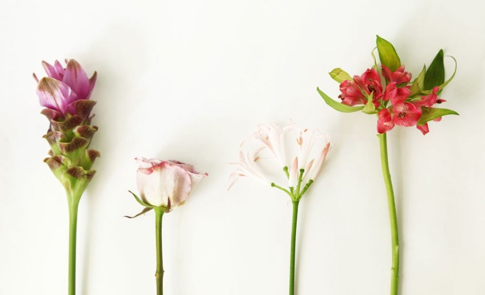 weekly blooms 27 flores