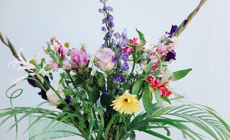 weekly blooms 28