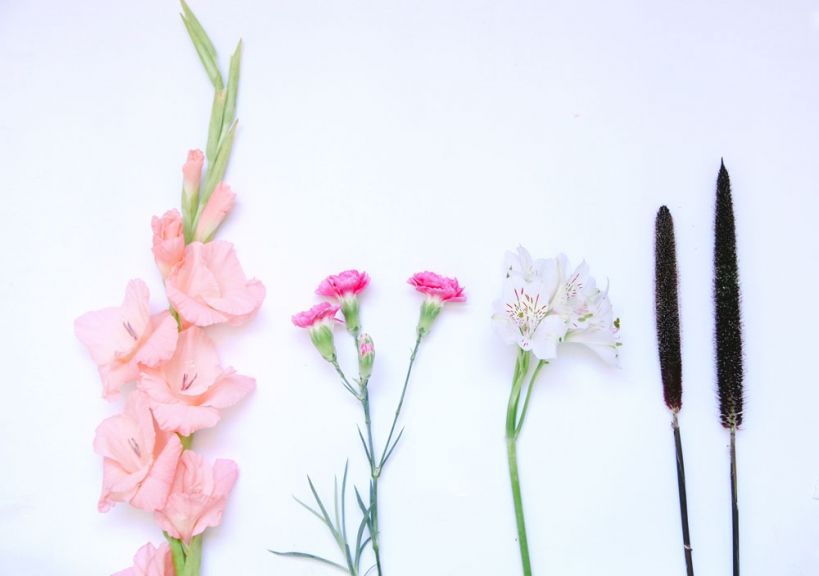 weekly blooms 28 flores