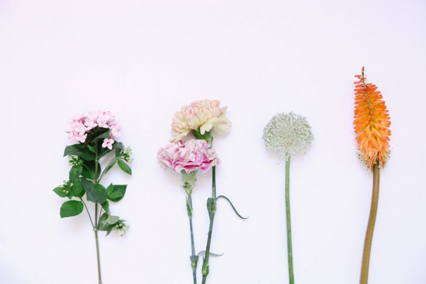 weekly blooms 29 flores