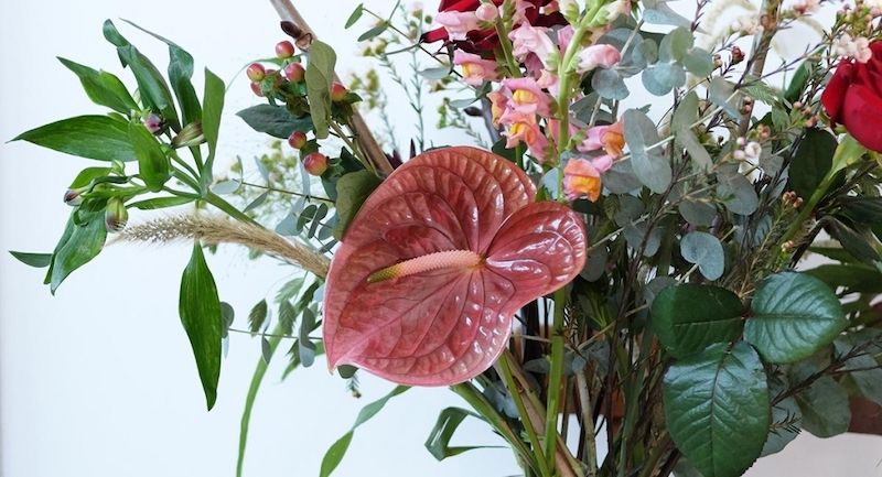 weekly blooms 3