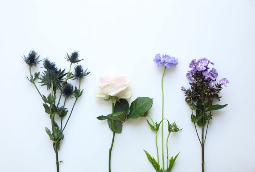 weekly blooms 30 flores