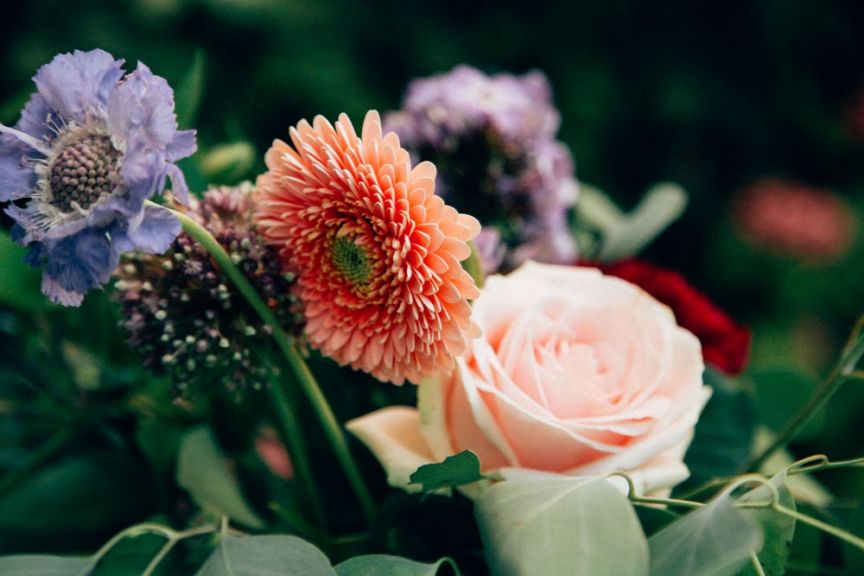 weekly blooms 30