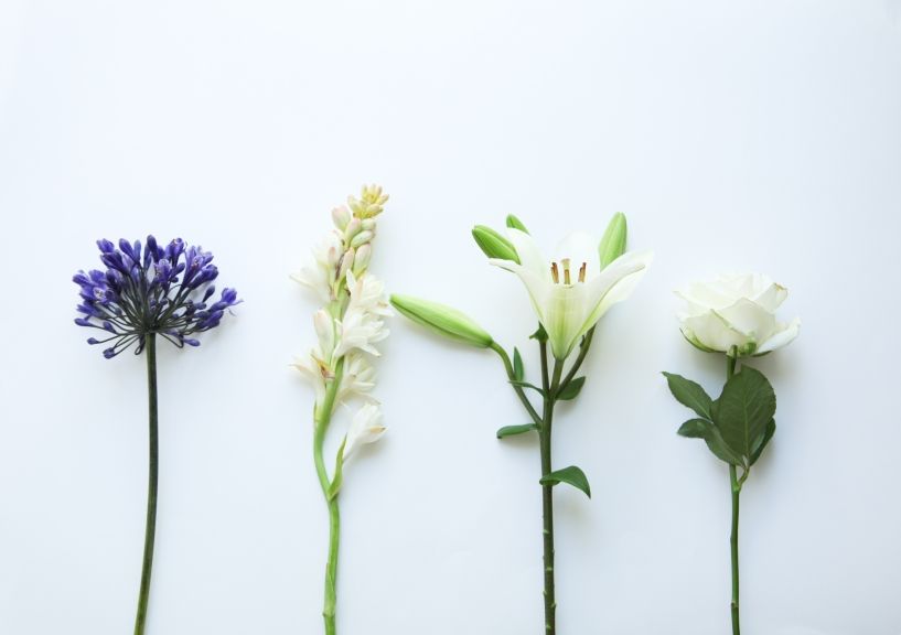 weekly blooms 31 flores
