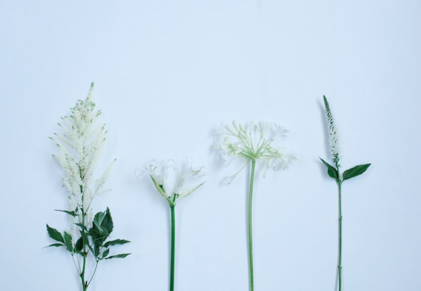weekly blooms 32 flores