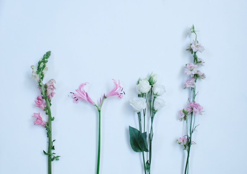 weekly blooms 33 flores