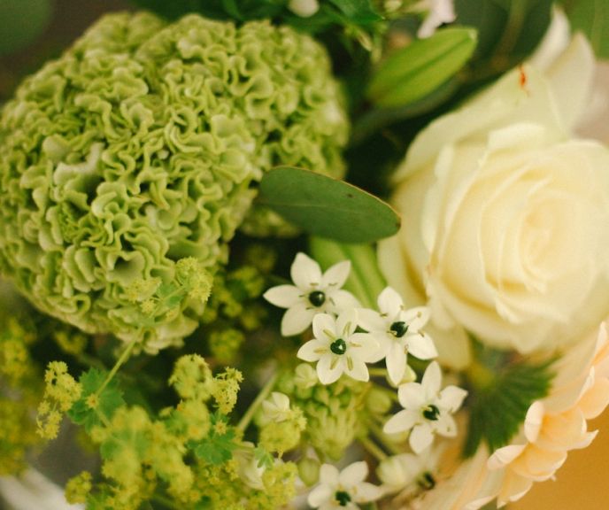 weekly blooms 38 detalle