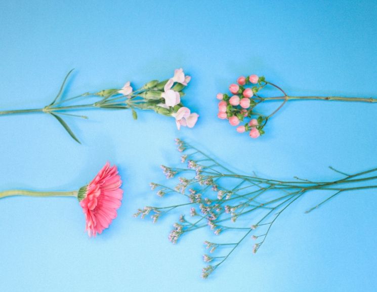 weekly blooms 39 flores