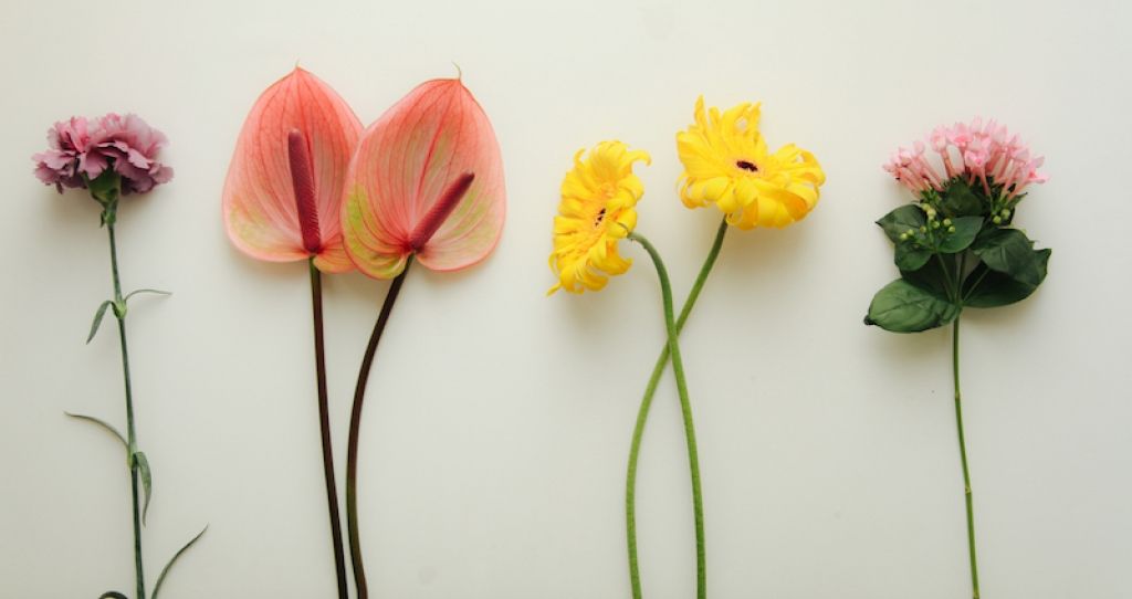 weekly blooms 41 flores