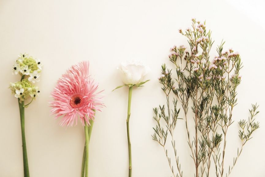 weekly blooms 43 flores