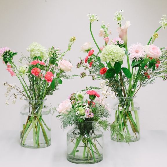 weekly blooms 43 ramos