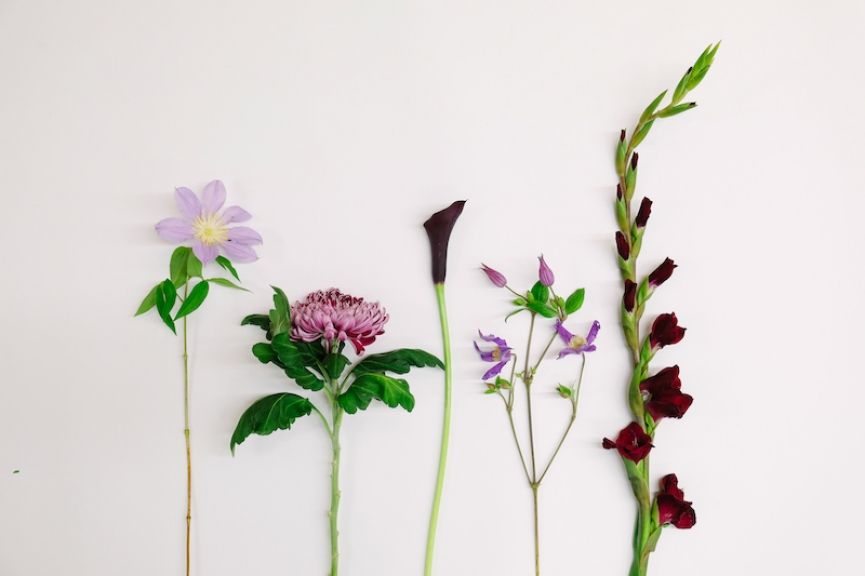 weekly blooms 45 flores