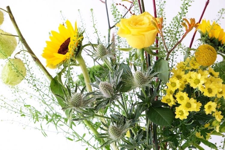 weekly blooms 46