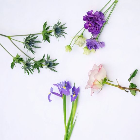 weekly blooms 5 flores
