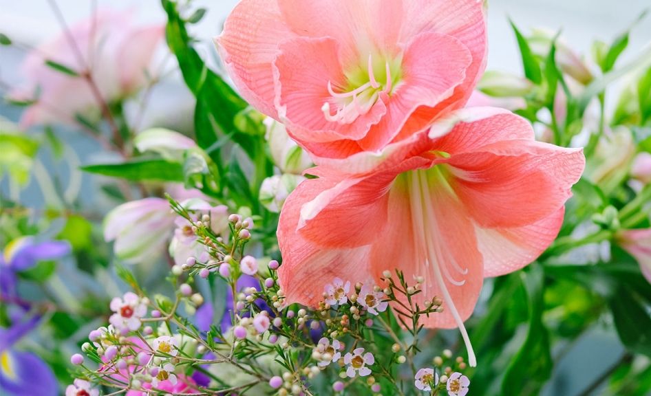weekly blooms 5