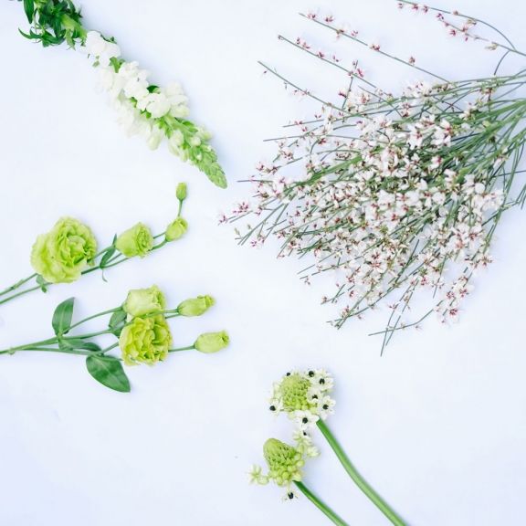 weekly blooms 6 flores