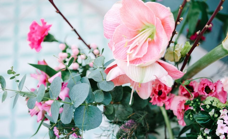 weekly blooms 7