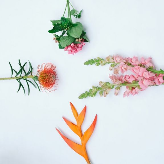 weekly blooms 8 flores