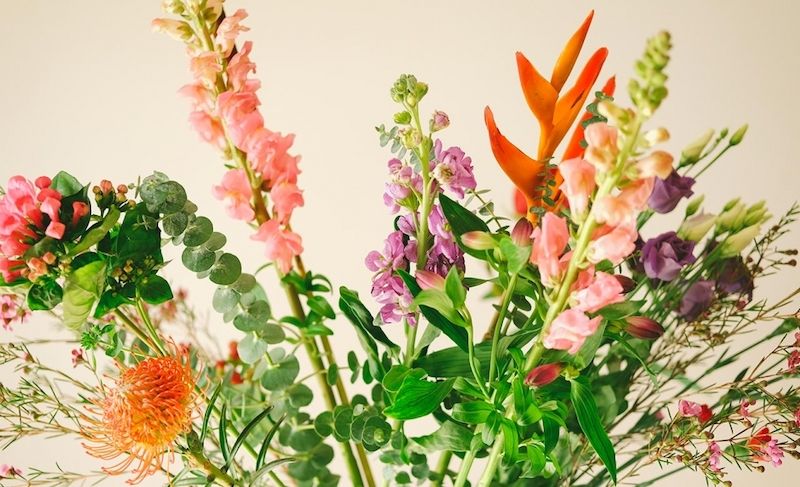 weekly blooms 8