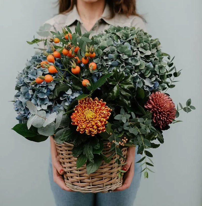 cesta de hortensias y crisantemos