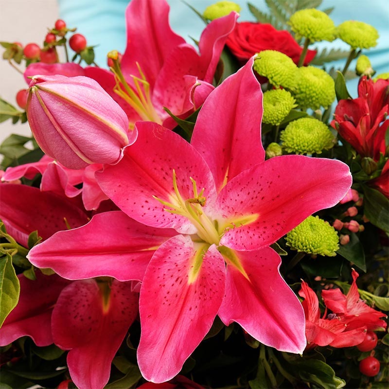 lilium rojo con flores