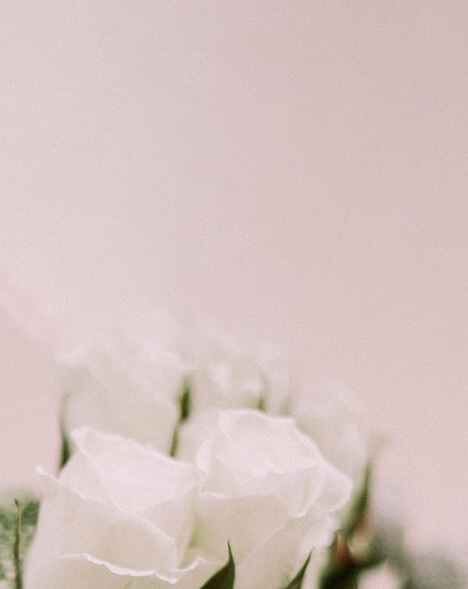 detalle de batas y rosas blancas