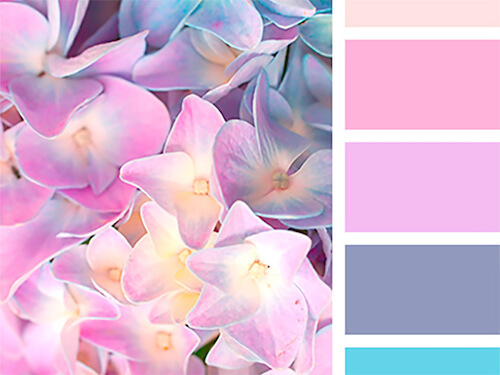 colores pantone de una hortensia