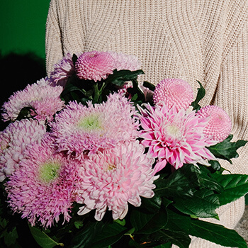 ramo de crisanemos de colores rosa y verde