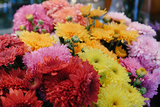 variedades de colores de crisantemos