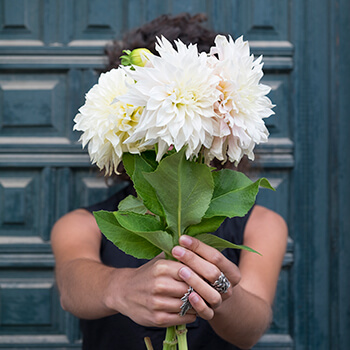 tallos de dahlias de color salmon y blanco