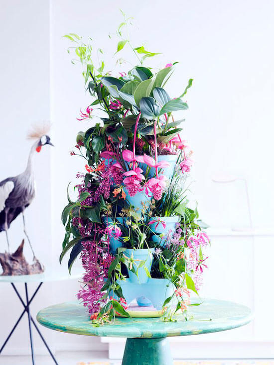 arreglo de plantas tropicales en tonos naranjas y rosas