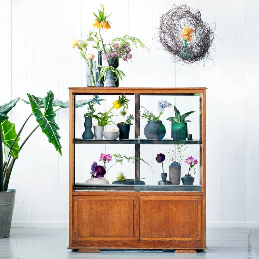 flores bulbosas decorando una cuarto