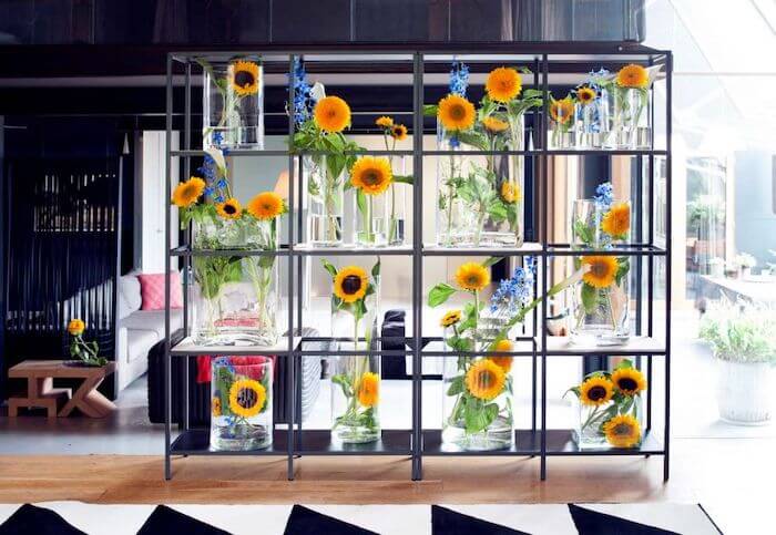 varios girasoles en jarrones con delfinium azul