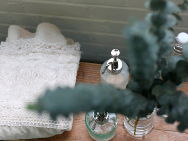 baño con unos talles de eucalipto de hoja pequeña