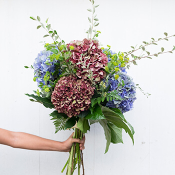ramo de hortensias variadas y verdes y blupernum