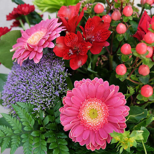 detalle de un ramo con flores de astromelia y gerberas rojas