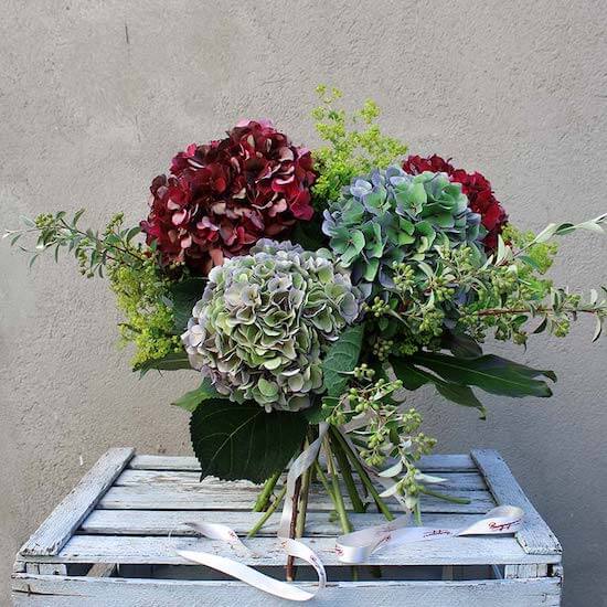 ramo de hortensias de diferentes rojos y azules de otoño