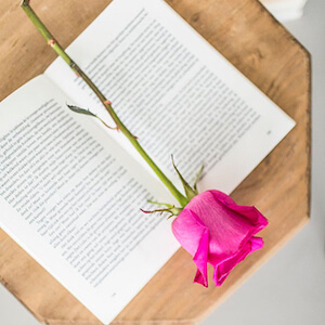 una rosa de color fuschia encima de un libro abierto en una mesa